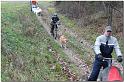 Tour Taunus 223
